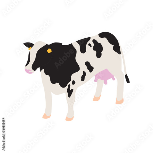 ホルスタインの牝牛