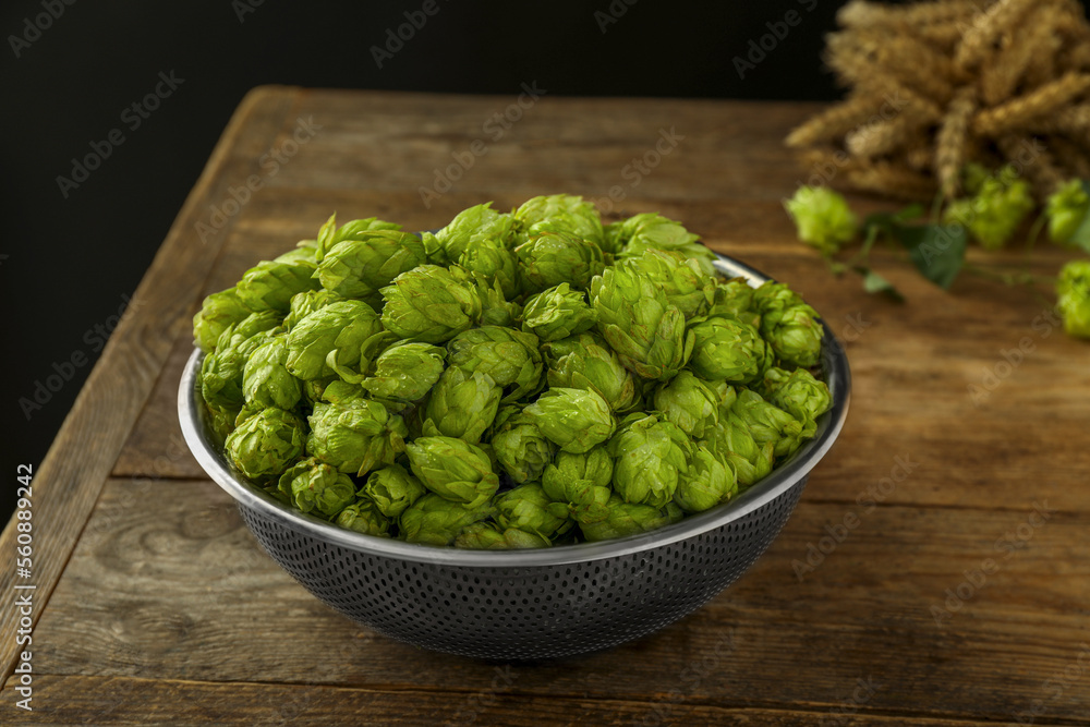 Fresh green hops in sieve wooden table Fresh green hops in sieve wooden table