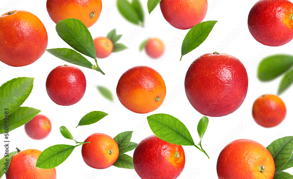 Red oranges with green leaves flying on white background Red oranges with green leaves flying on white background