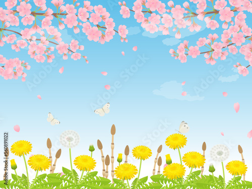 満開の桜・たんぽぽ・つくしの春の風景_背景_ベクターイラスト