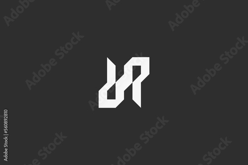 Illustration vector graphic of double letter R geometric