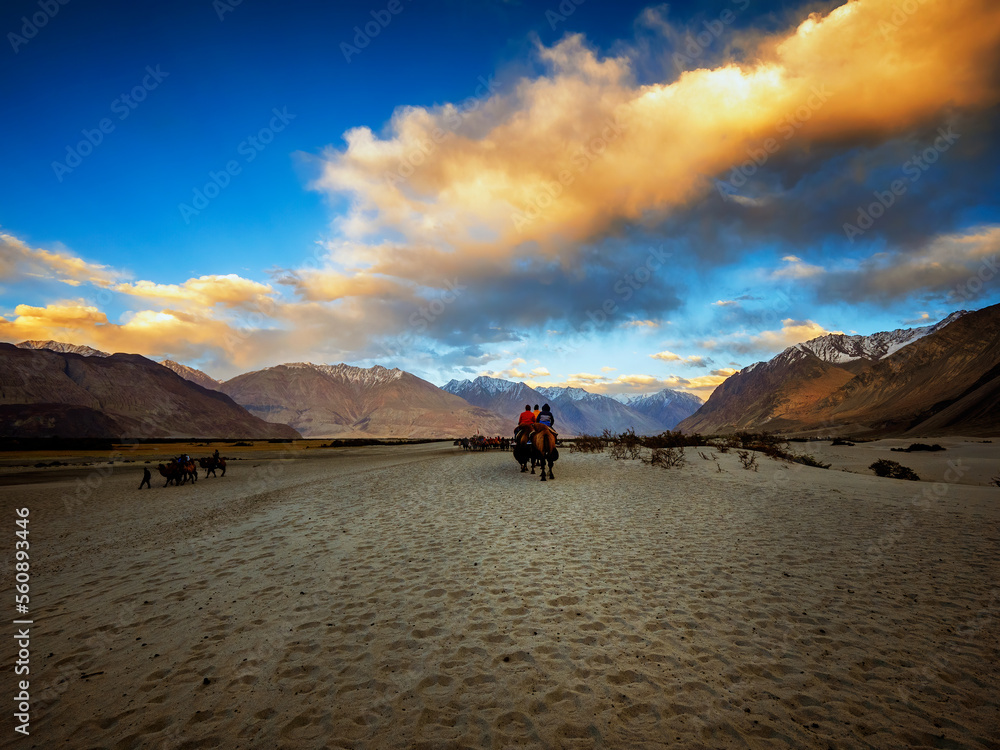 tourists riding on camel-back in the cold desserts of Ladakh, India