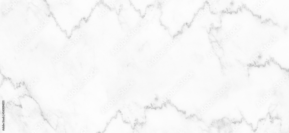 Obraz premium Marble granite white background wall surface black pattern graphic abstract light elegant gray for do floor ceramic counter texture stone slab smooth tile silver natural for interior decoration.