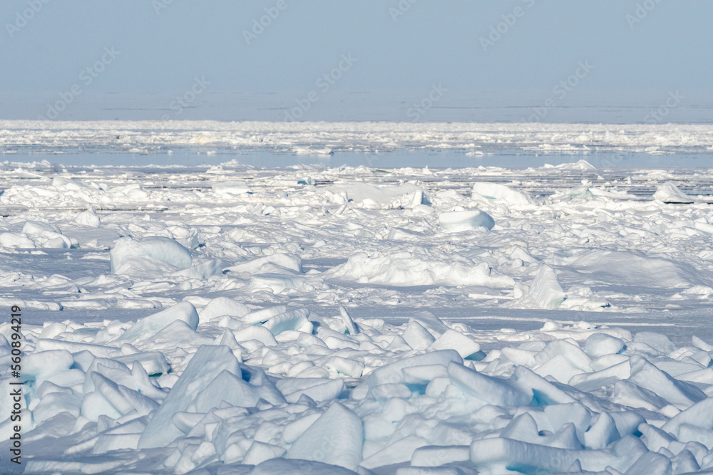 Svalbard, Norway, Icebergs at arctic ice edge. Northern most land before North Pole. Svalbard, Norway, Icebergs at arctic ice edge. Northern most land before North Pole.