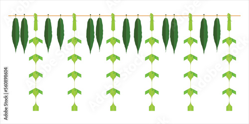 Indian Traditional Mango and palm Leaves realistic toran, Garland. Decoration for Indian Hindu Auspicious Occasion, natural coconut and mango leaf  vector, editable design.