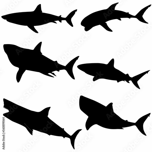white background shark set, silhouette, sea predator