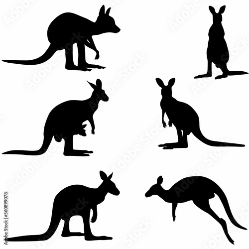  kangaroo set  silhouettes  white background 