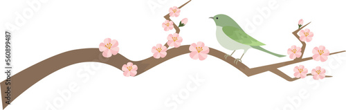 桃色の梅と鶯のイラスト
