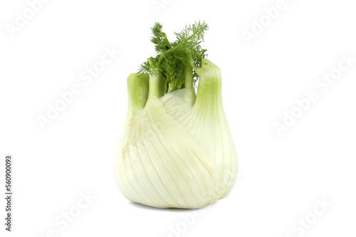 Fresh fennel bulb isolated on white background