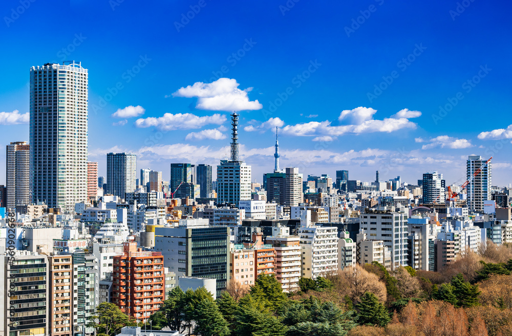 Obraz premium 東京 青空と都市風景