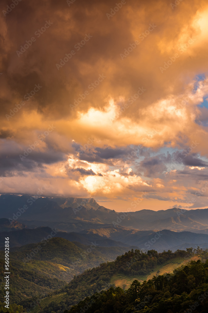 Fototapeta premium landscape and sky background