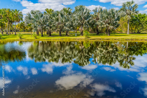 Palm Trees Green Leaves Reflection Fairchild Garden Coral Gables Florida photo