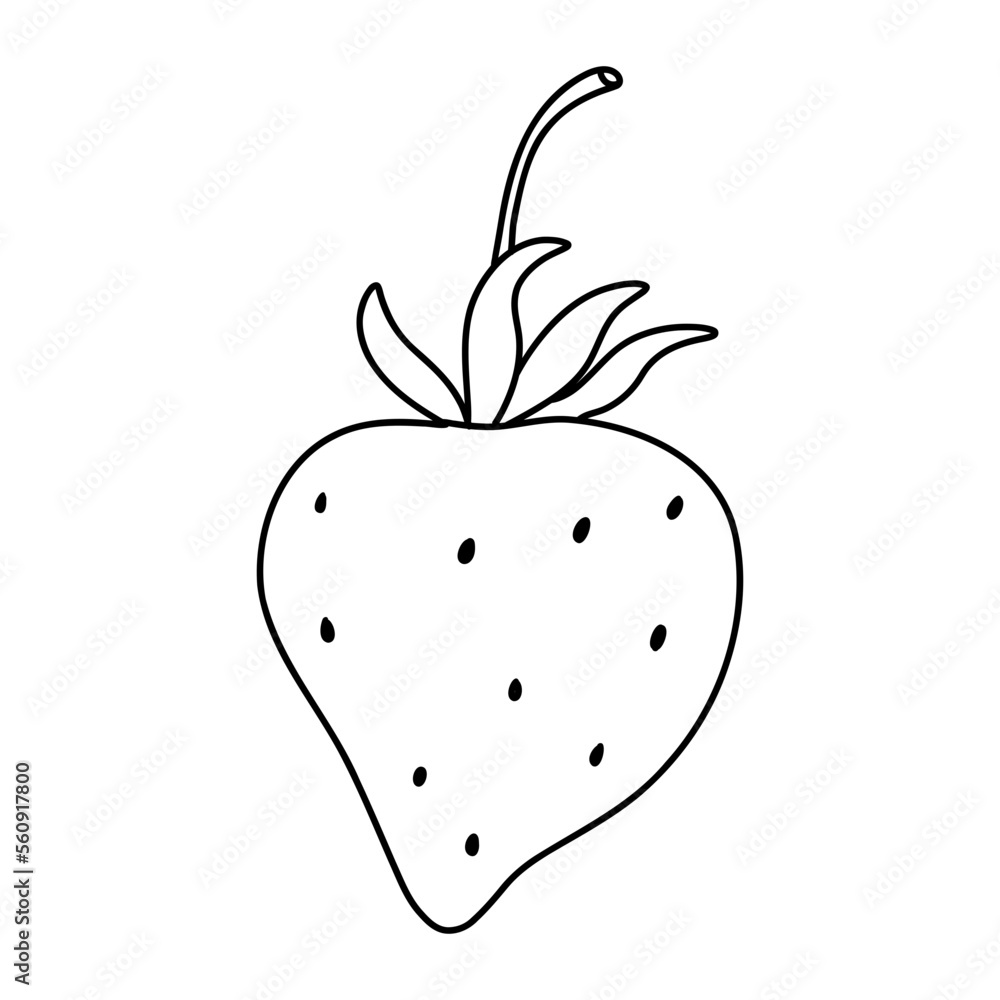 Fresh Strawberries Fruits Hand Drawn Illustration Fresh Strawberries Fruits Hand Drawn Illustration