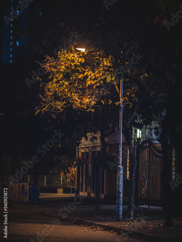 night street scene