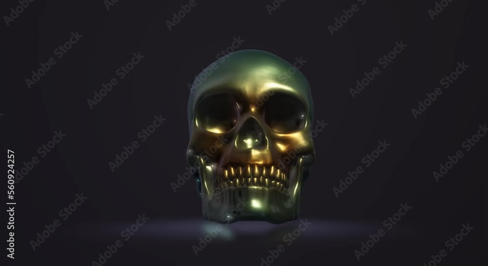 human skull, skeleton human skull, skeleton