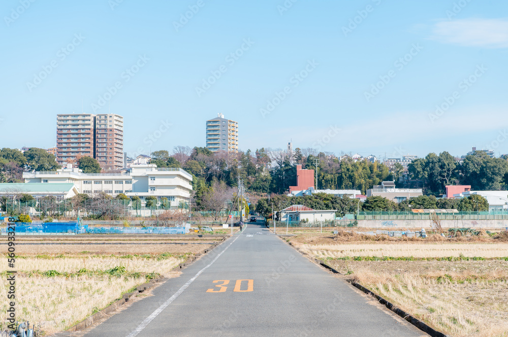 田舎の日常風景 田舎の日常風景
