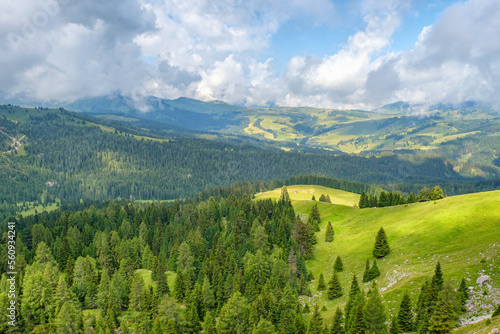 Rolling landscape with meadows and forests in the Alps