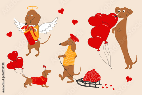 Dachshunds dogs pulls a hearts, valentines on a sleigh and decorate  balloons in the shape of a heart. Vector illustration