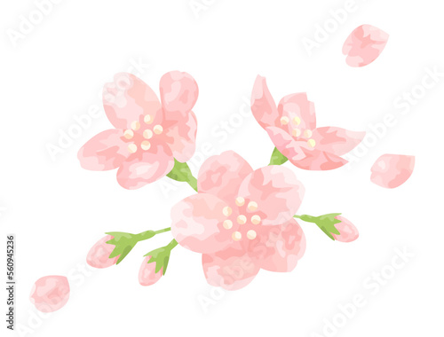 手塗り風の桜の花をイメージしたイラスト
