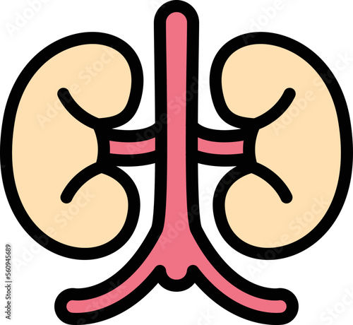 Kidney Vector Icon Design Illustration