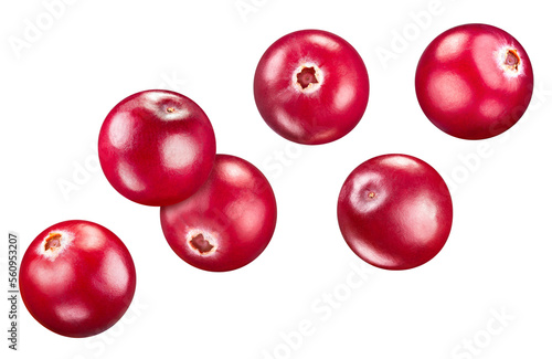 Cranberry collection isolated on white background. Cranberry set Clipping Path. Cranberry macro studio photo © Maks Narodenko