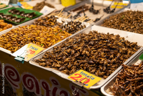Thai food at the market. Fried insects. Cockroaches, grasshoppers, caterpillars, scorpions. An unusual snack, a thrill. © Наталья некрасова