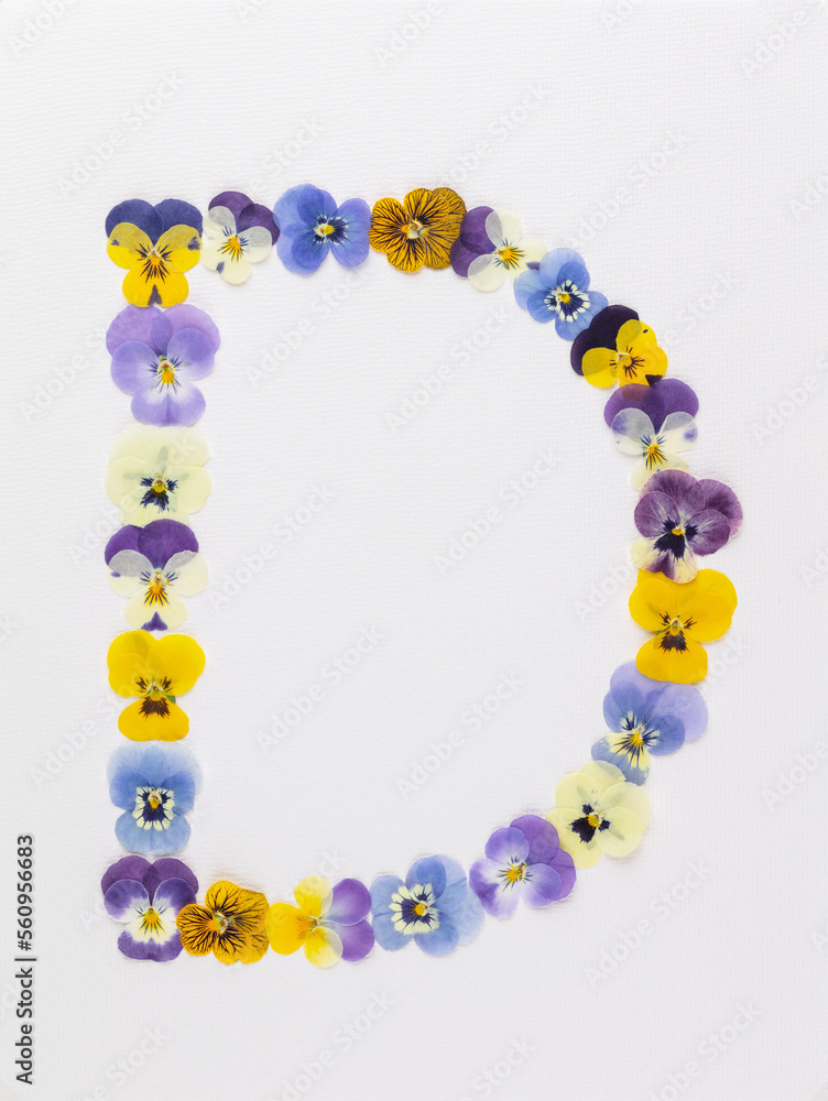 Flower font Alphabet a,b,c,q, r, s, t, made of Real pansy flowers. Flower font Alphabet a,b,c,q, r, s, t, made of Real pansy flowers.