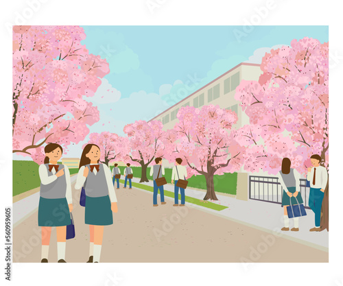 学校も前の桜を見上げる生徒たち