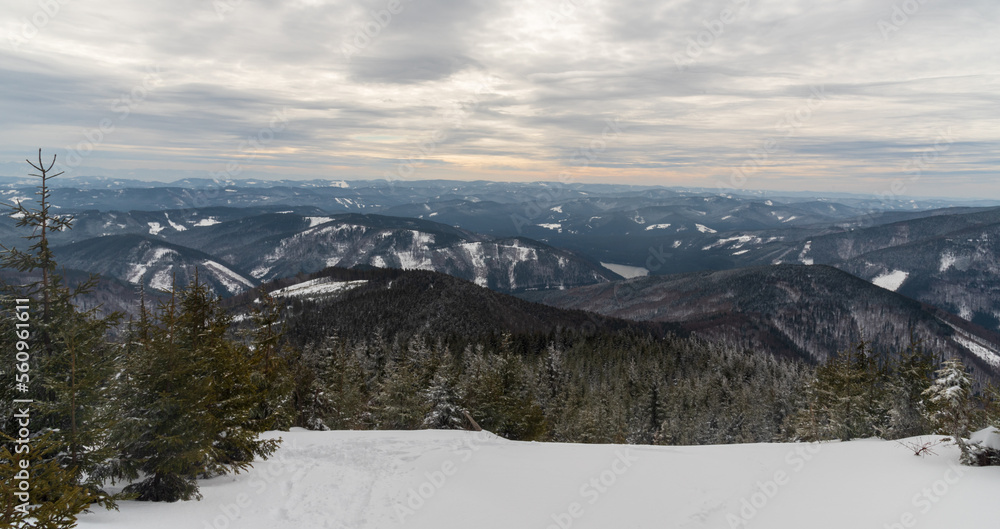 View near Lysa hora hill summit in winter Moravskoslezske Beskydy mountains in Czech republicr
