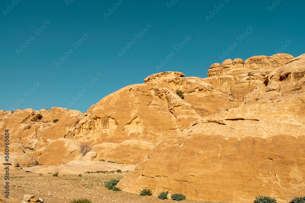 Fototapeta premium walking in the desert near Petra, Jordan