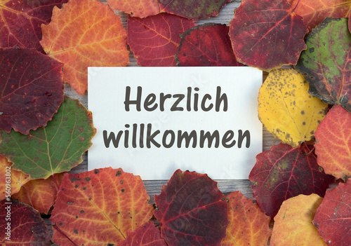 Card with colorful autumn leaves and german lettering: warmly welcome