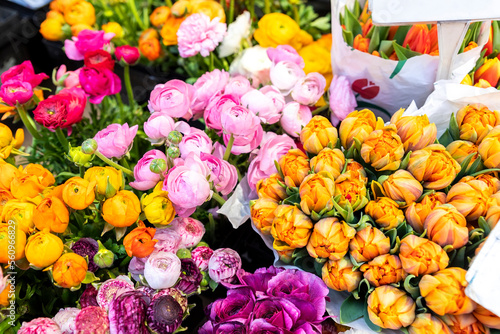 Canvas Print Many multicolored fresh peonies bouquets background