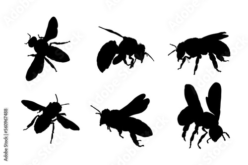 Set of silhouettes of honey bees vector design © ydhckll