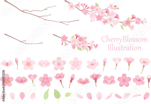 桜のベクターイラスト素材セット