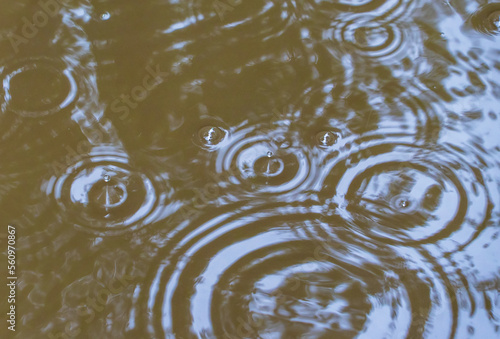 Circles and streaks from raindrops on the surface of the water .
