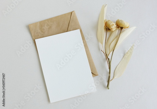Greeting card mockup, envelope and  dried  flowers twigs on white background top view flatlay. Card mockup with copy space.