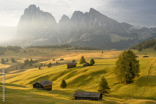 Alpe di siusi, Seiser alm, South tyrol