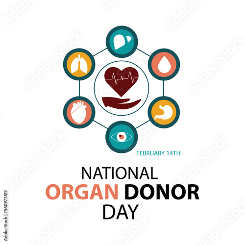 Hands with circle type  white heart, health care,  lung , love, organ donation, world heart day, world health day .Vector illistration