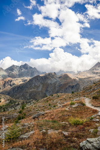 Alpine hiking path on mountain slope covered with withered autumn grass and dwarf trees in Parco Nazionale Gran Paradiso. Aosta Valley, Italy (vertical shot)