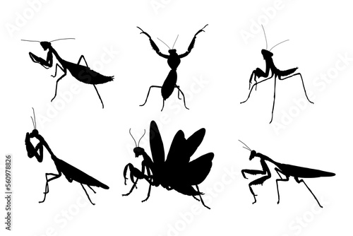 Set of silhouettes of praying mantis vector design