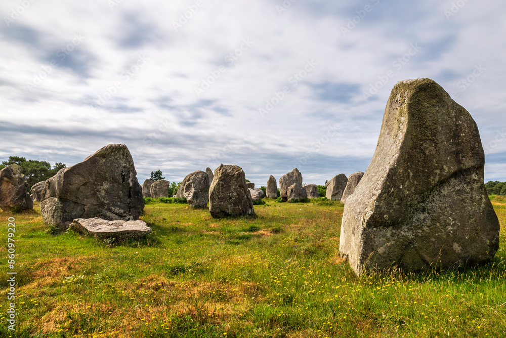 The Carnac stones. Brittany, France