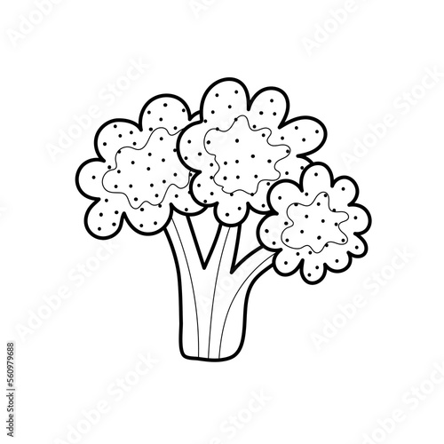Black and white broccoli isolated on white background. Linear vegetable for coloring book. Organic healthy food clipart in cartoon style. Vector illustration