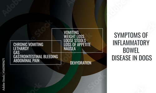 symptoms of Inflammatory Bowel Disease in dogs.  Vector illustration for medical journal or brochure. 