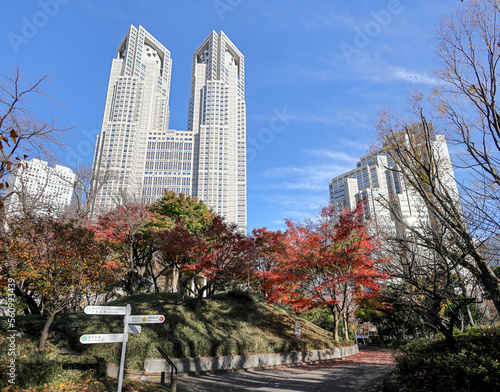 東京都庁を背景にした新宿中央公園の紅葉 photo