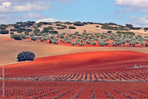 Route of Don Quijote from ValdepeÃ±as toTorrenueva. Castilla-La Mancha, Spain
