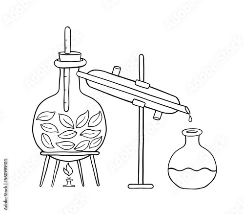 Essential oil making. Distillations aromatic oils. Perfumery substances Distiller equipment. Vector infographic illustration.