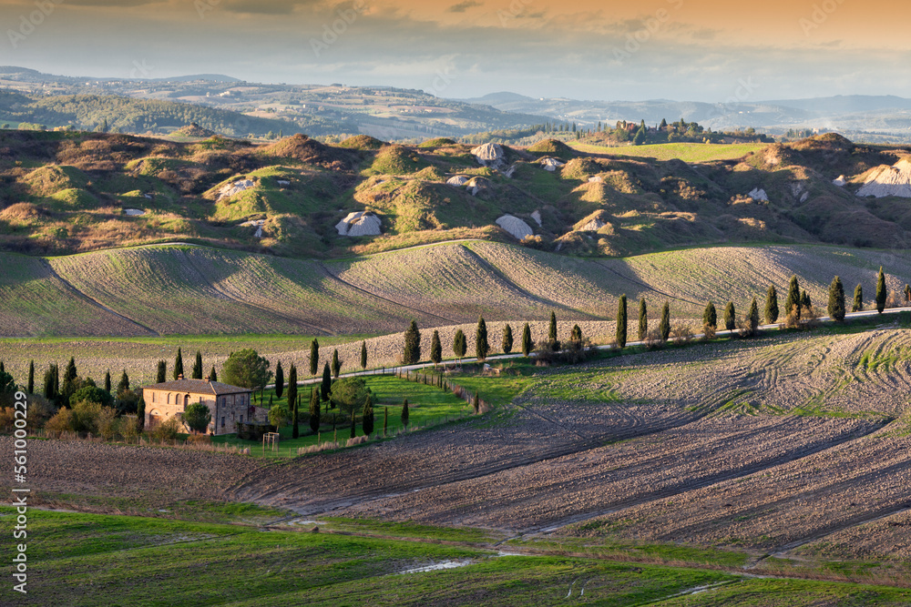 Asciano, Siena. Strada Provinciale del Pecorile con le Crete Senesi
