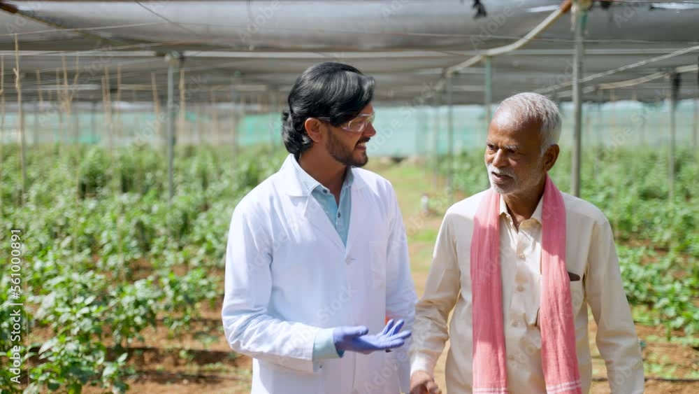 Tracking shot of agro scientist with farmer discussing about plantation growth at green house - concept of cooperation, growth and technology. Tracking shot of agro scientist with farmer discussing about plantation growth at green house - concept of cooperation, growth and technology.