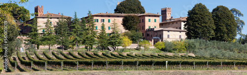 Lucignano d'Arbia, Monteroni d'Arbia, Siena. Vigneto sul fronte del borgo con torri photo