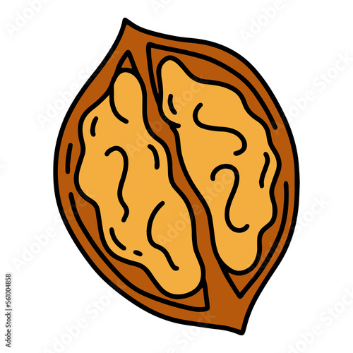 Walnut simple linear cartoon icon in doodle style, vector illustration